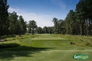 Forest Dunes Tour-4452 2nd Hole