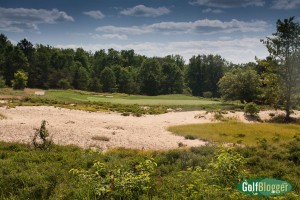 Forest Dunes Tour-4528 16th Hole