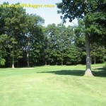 Gauss Green Valley 12