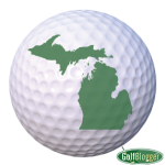 MI Golf Ball 5